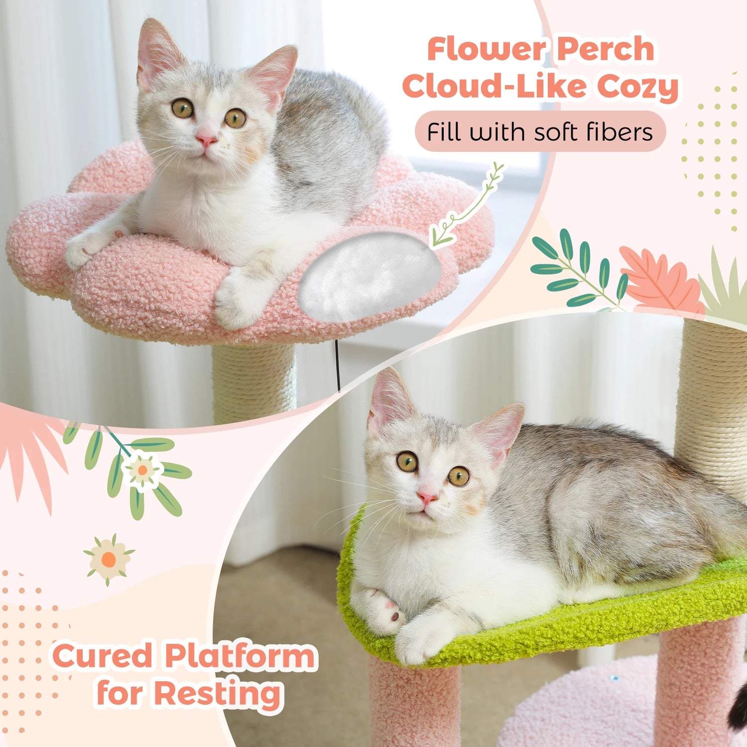Cat lounging on a flower perch with text describing its features.