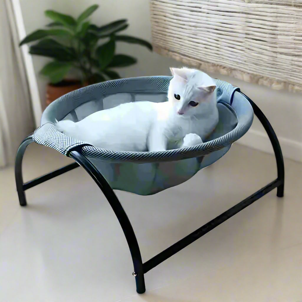 White cat lying on a pet hammock in a bright room with large windows.