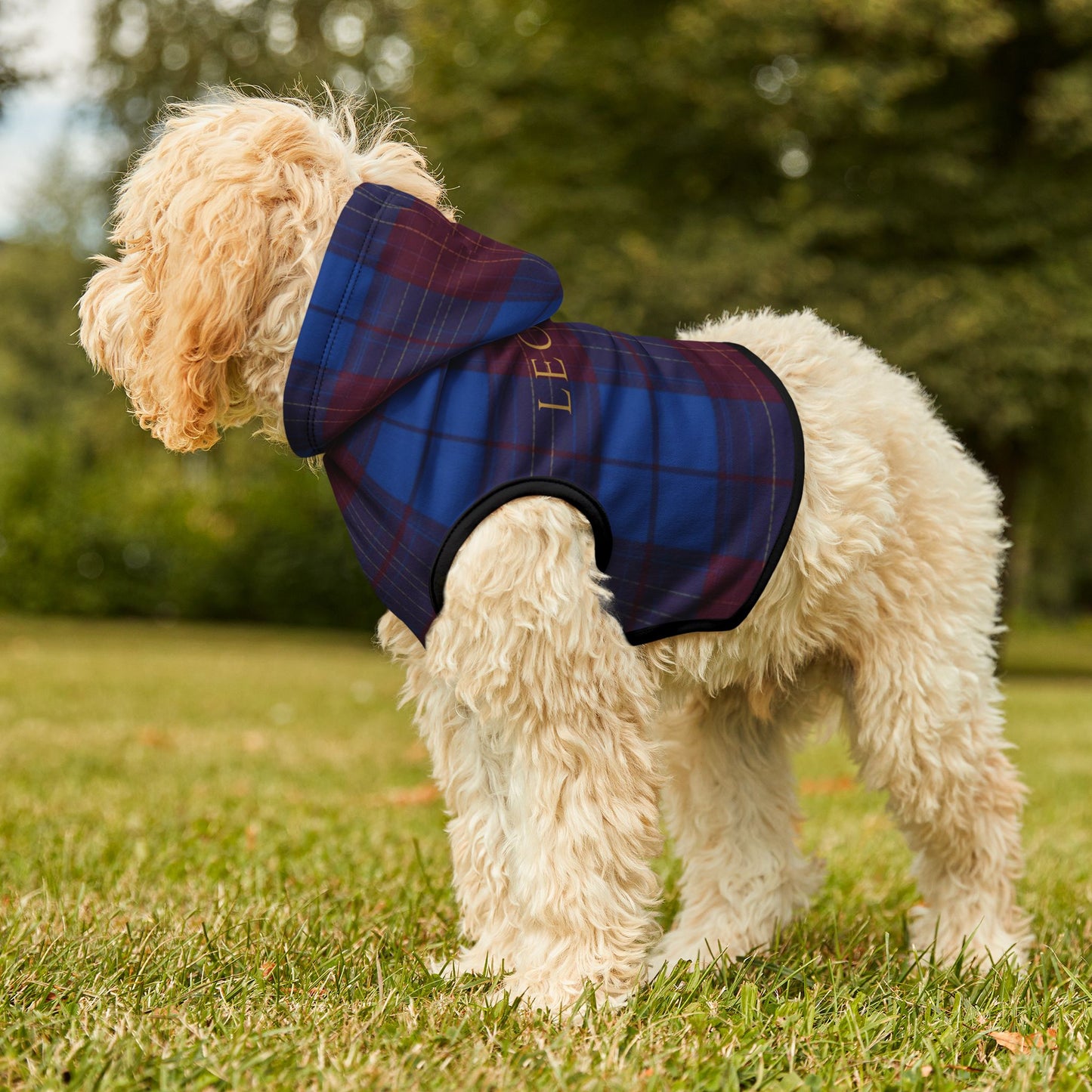 Hood detail showing structure and finish of Legacy dog hoodie
