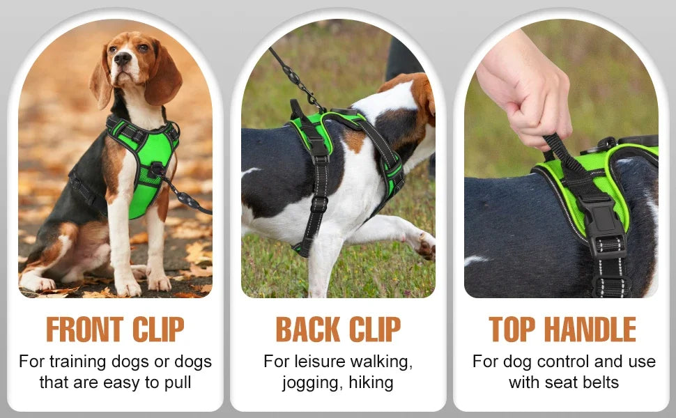 Dog harness with front clip, back clip, and top handle features on a gray background.