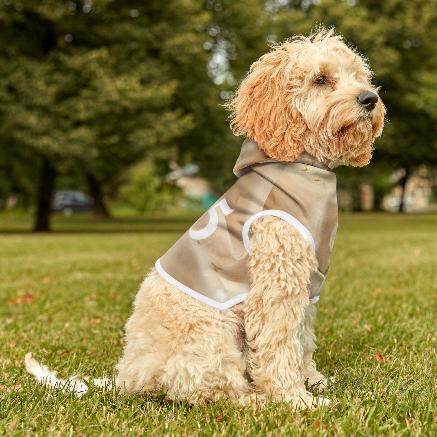 Gold Cloud Hoodie for Small Dogs