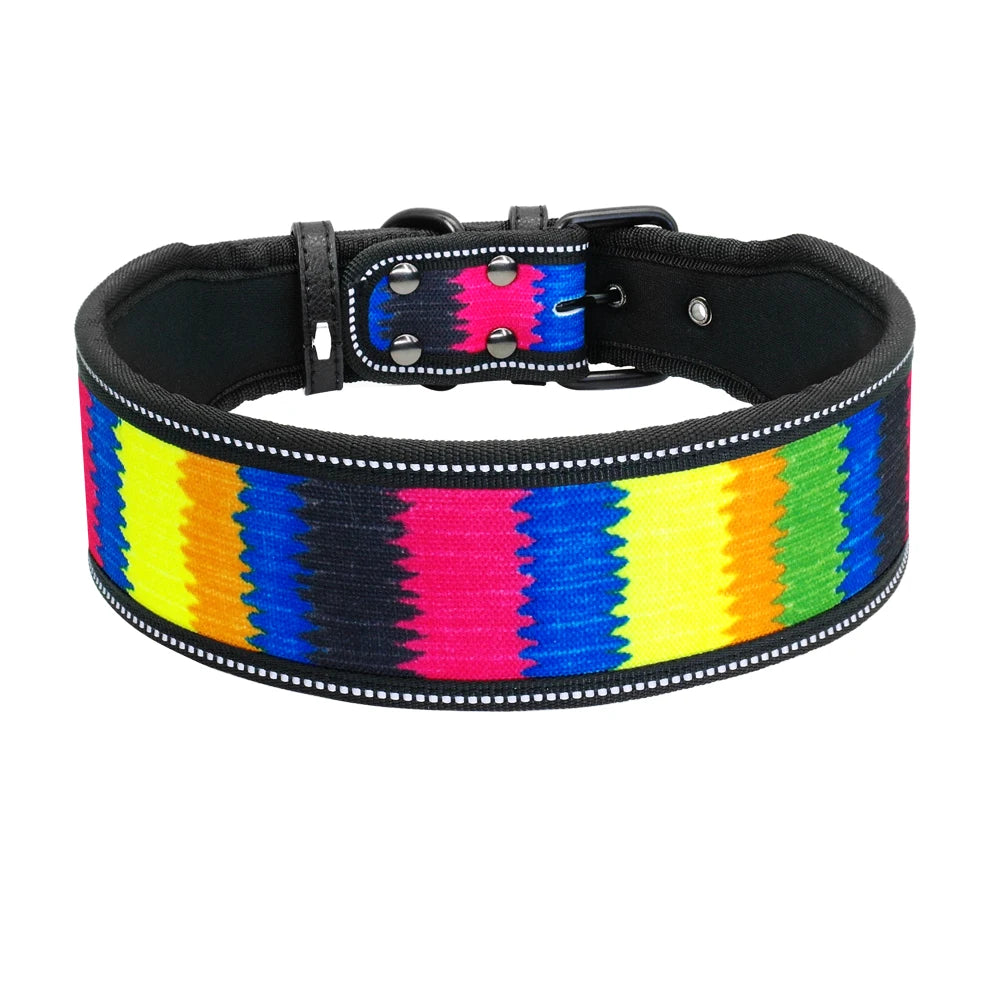 Dog collar with colorful striped pattern on a white background