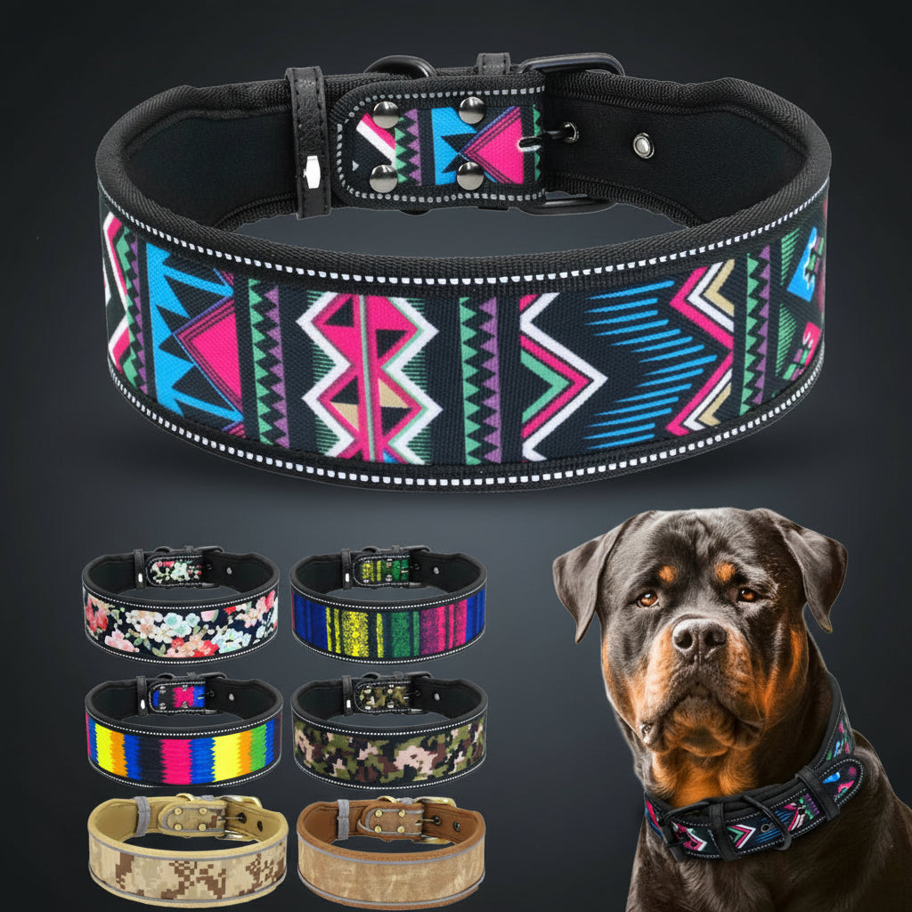 Dog collar with colorful geometric pattern on a white background, featuring a Rottweiler wearing the collar.