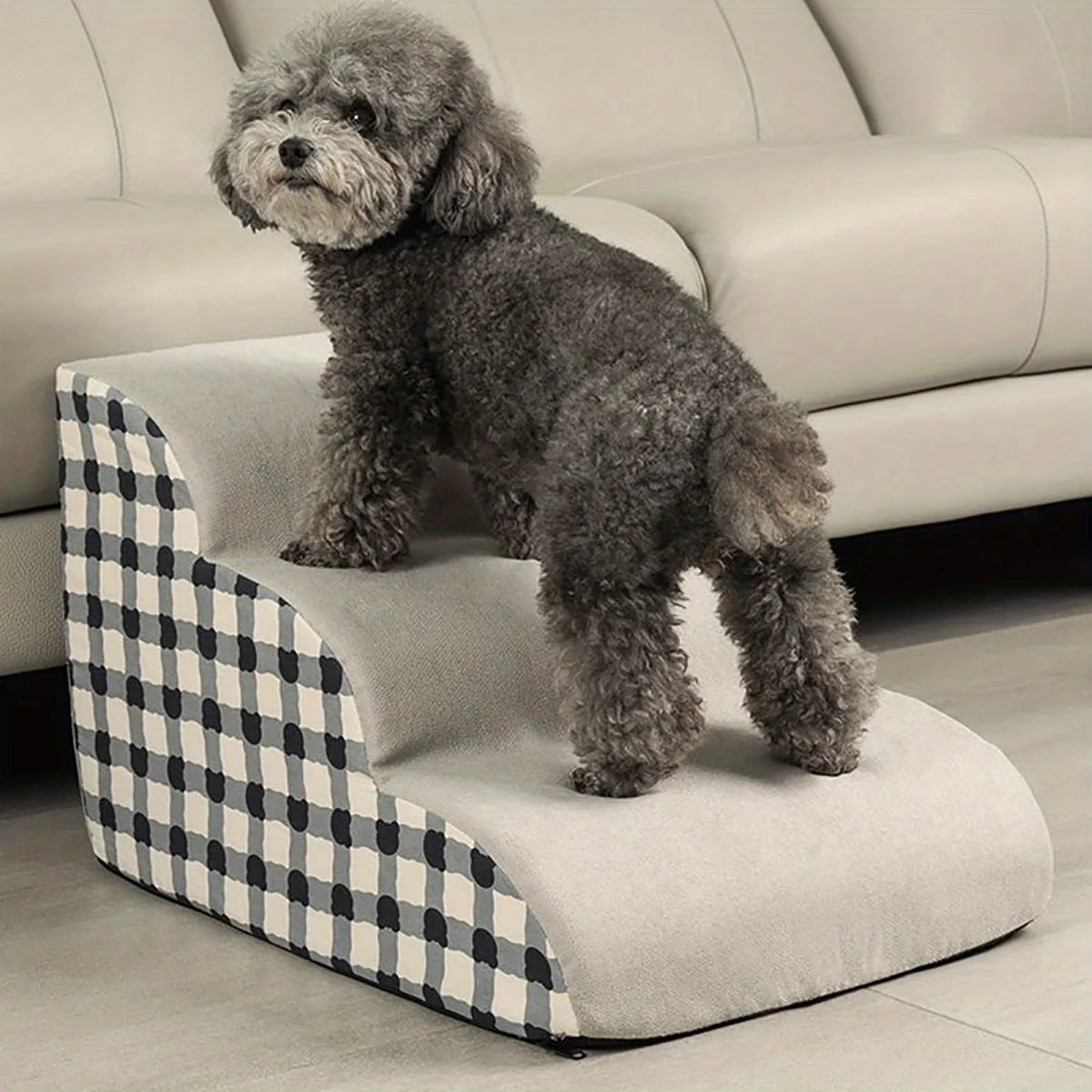 Dog standing on a checkered pet ramp in a living room setting