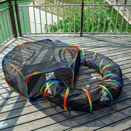 Cat playing with a colorful playpen on a wooden deck