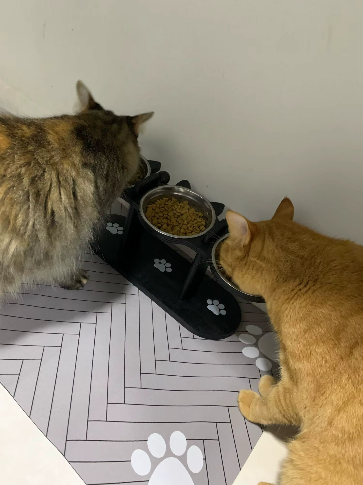 Two cats eating from a pet feeder on a floor with paw prints.