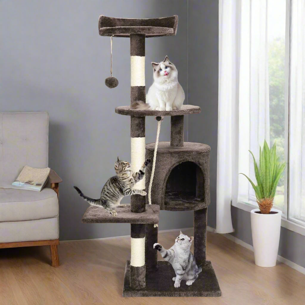 Cat climbing frame with scratching posts and platforms