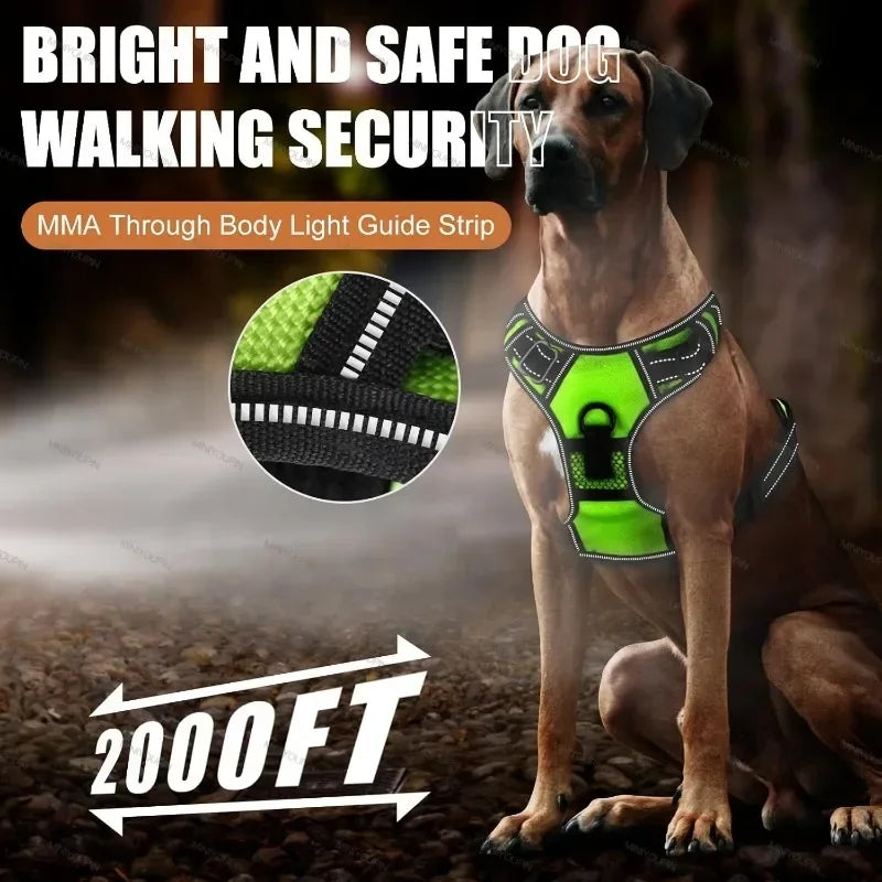 Dog wearing a green harness with LED lights, sitting on a dirt path.