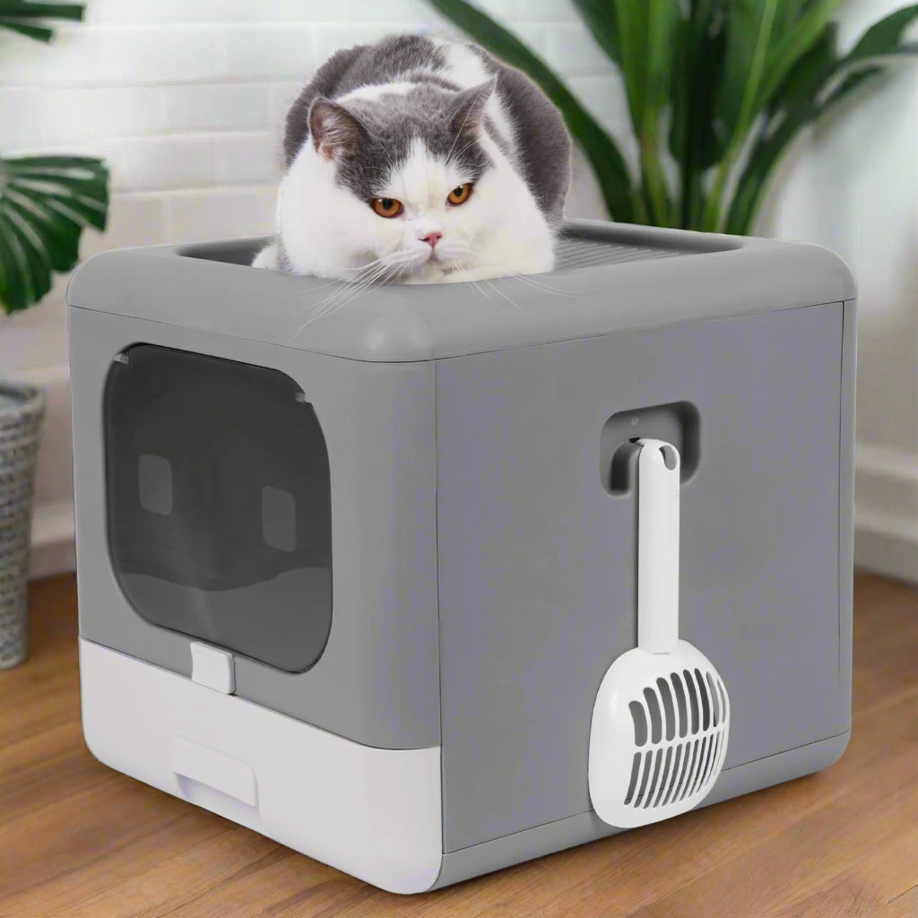 Gray pet litter box with a cat peeking out and a white scoop on a white background