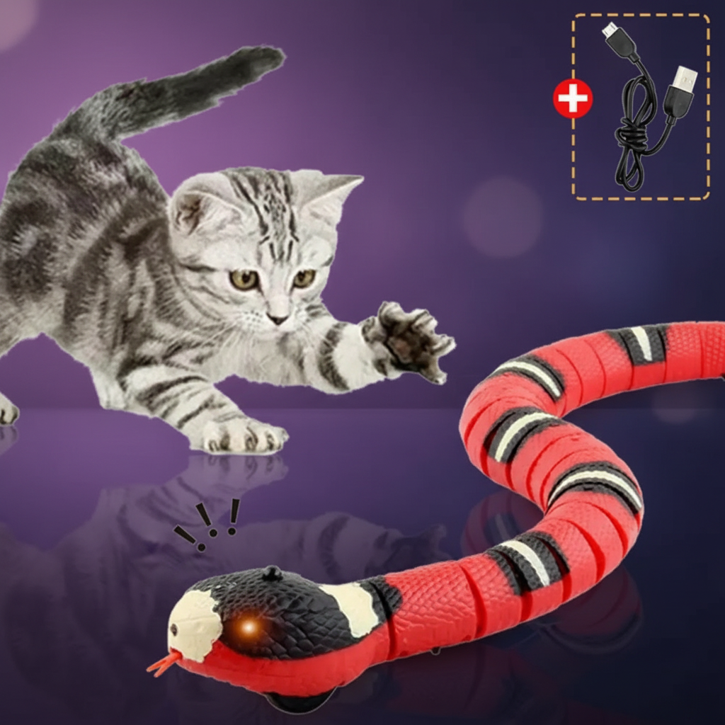 Grey kitten swiping at red and black PawSnake™ smart sensing snake cat toy on teal gradient background, SniffWaggleNWalk
