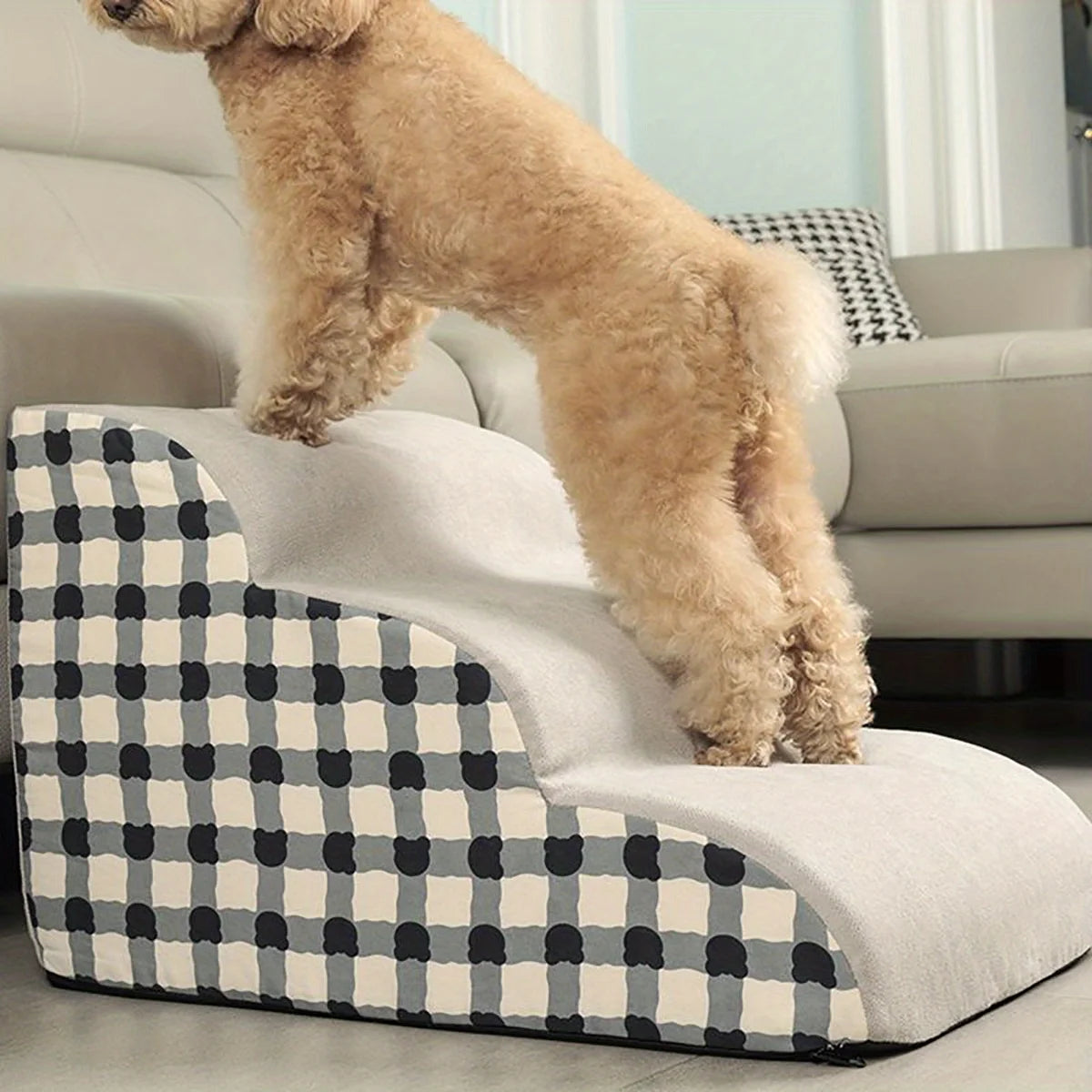 Dog standing on a checkered pet ramp in a living room.