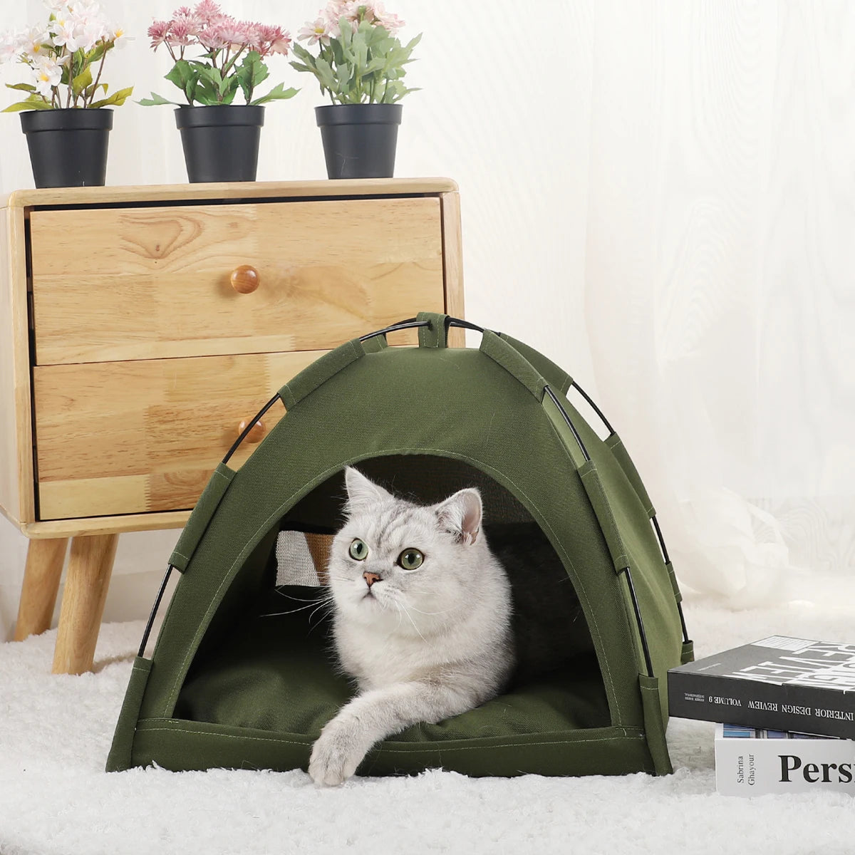 Cat inside a green tent on a white carpet with a wooden cabinet and potted plants in the background.