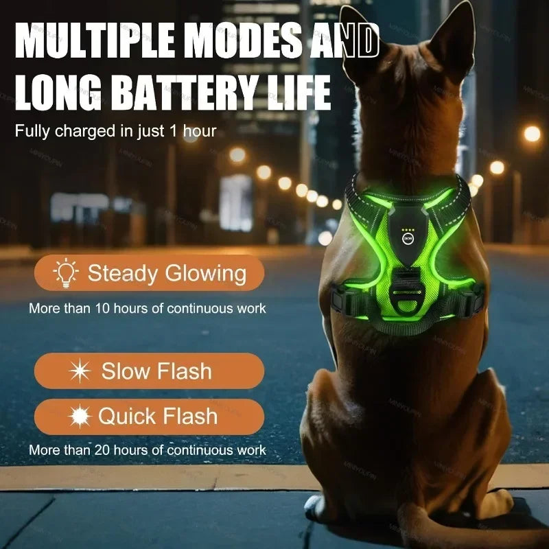 Dog wearing a green LED harness with text about multiple modes and long battery life.