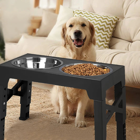 Elevated dog bowl stand with slow feeder and stainless steel water bowl