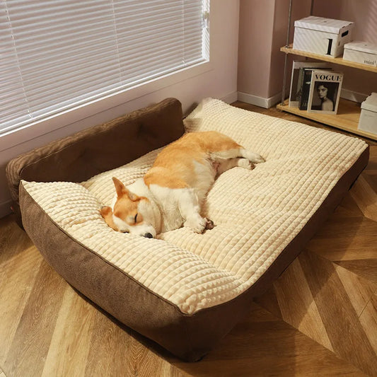 Rejuvenation Pet Bed - Sniff Waggle And Walk