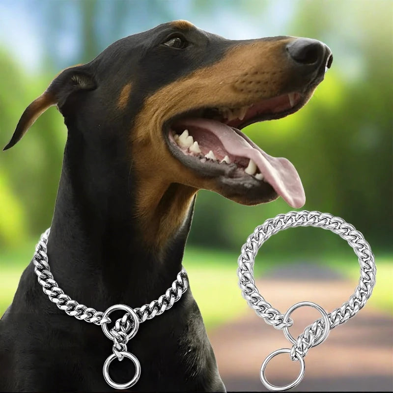 Sniffwagglenwalk™ Large Collar Chain link. - Sniff Waggle And Walk