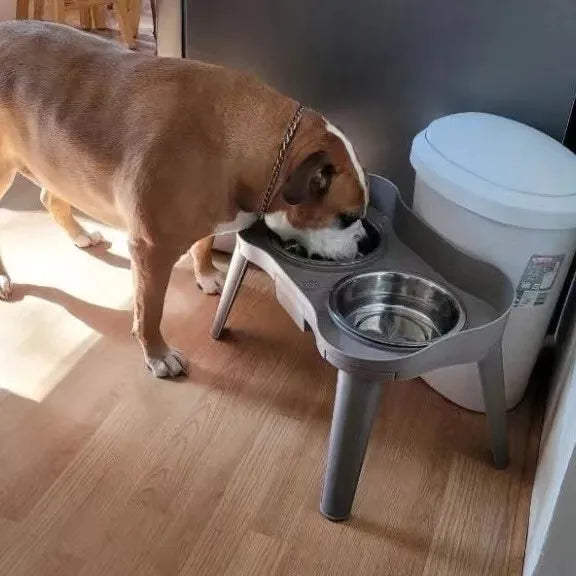 Elevated Dog Bowl Holder with Spill-Catching Compartment – Clean, Comfortable, and Healthy Feeding