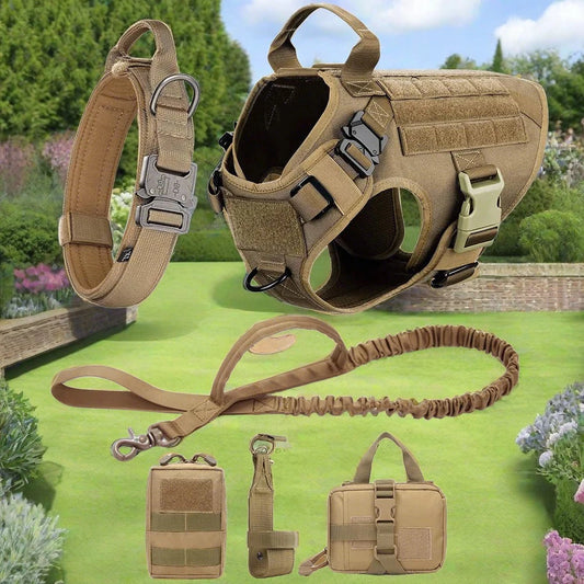 Sniffwagglendwalk® Large Harness And Leash Sets. - Sniff Waggle And Walk