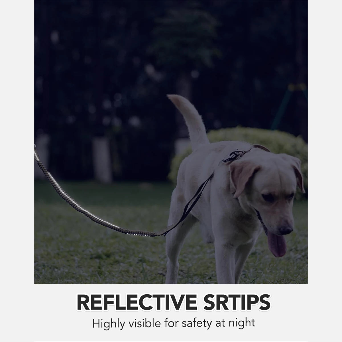 Seat belt Leash with Shock Absorbing properties featuring 2 Padded Handles by SniffWaggleNWalk™ - Sniff Waggle And Walk