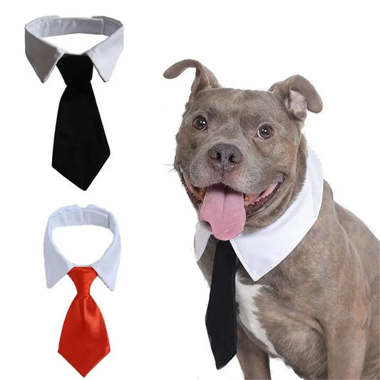 Luxury Pet Collar with Stylish Tie – The Ultimate Dapper Look for Cats & Dogs!