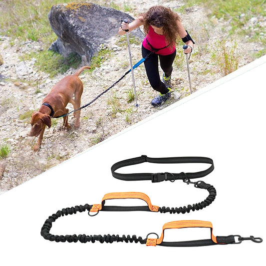 FreePace™ dog running lead in orange — dual bungee sections and padded emergency handles shown flat