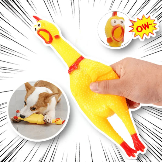 Sniffwagglendwalk® Funny Screaming chicken. - Sniff Waggle And Walk