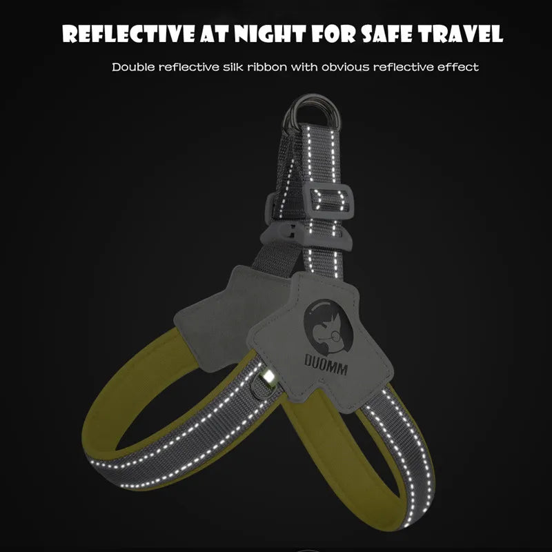 Sniffwagglendwalk® Harness Reflective Mesh. - Sniff Waggle And Walk