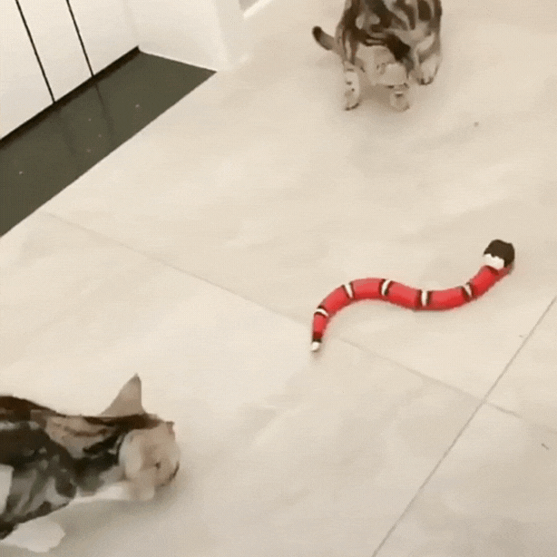 Smart Sensing Interactive Snake Toy for Cats – Endless Fun, Zero Boredom! 🐾-Sniffwaggleandwalk™