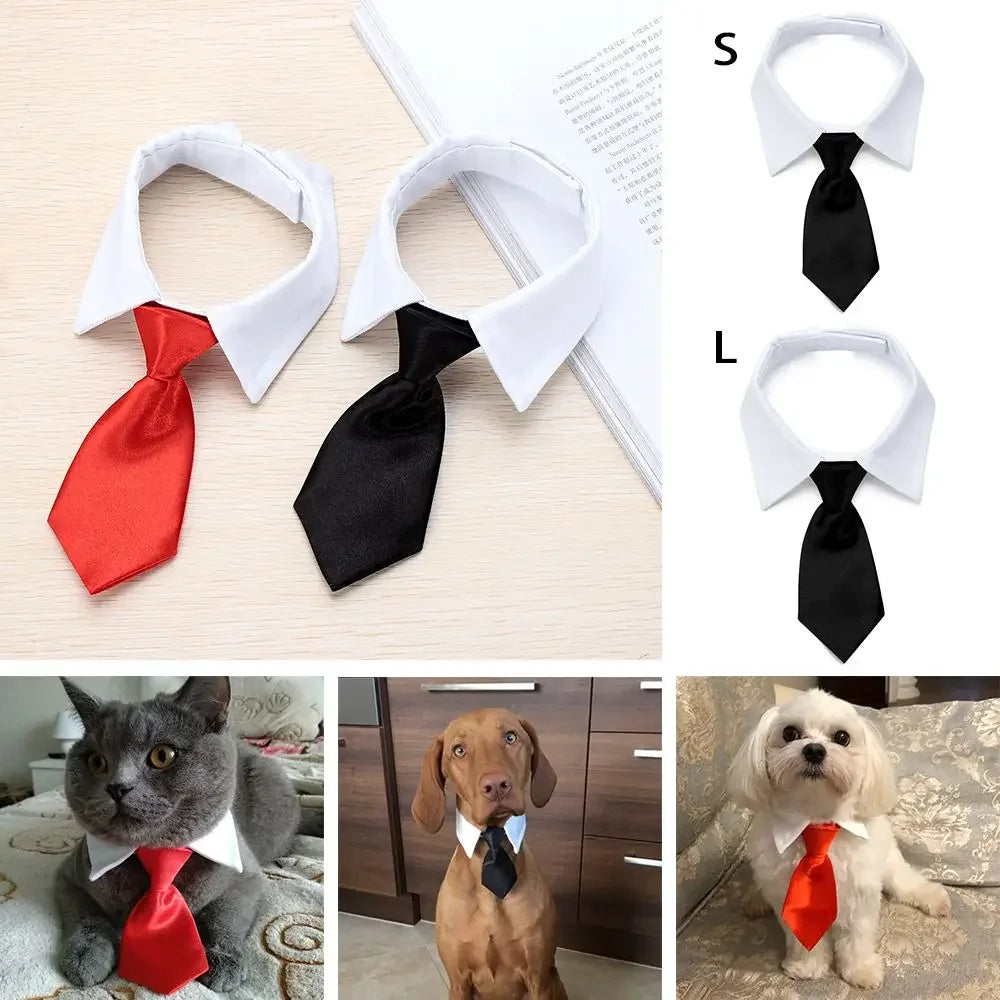 Luxury Pet Collar with Stylish Tie – The Ultimate Dapper Look for Cats & Dogs!