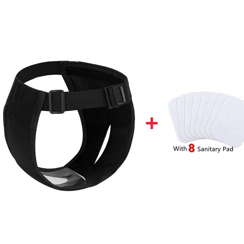 Female Dog Estrus Nappies with 8 Sanitary Pads 🐾✨ - Sniff Waggle And Walk