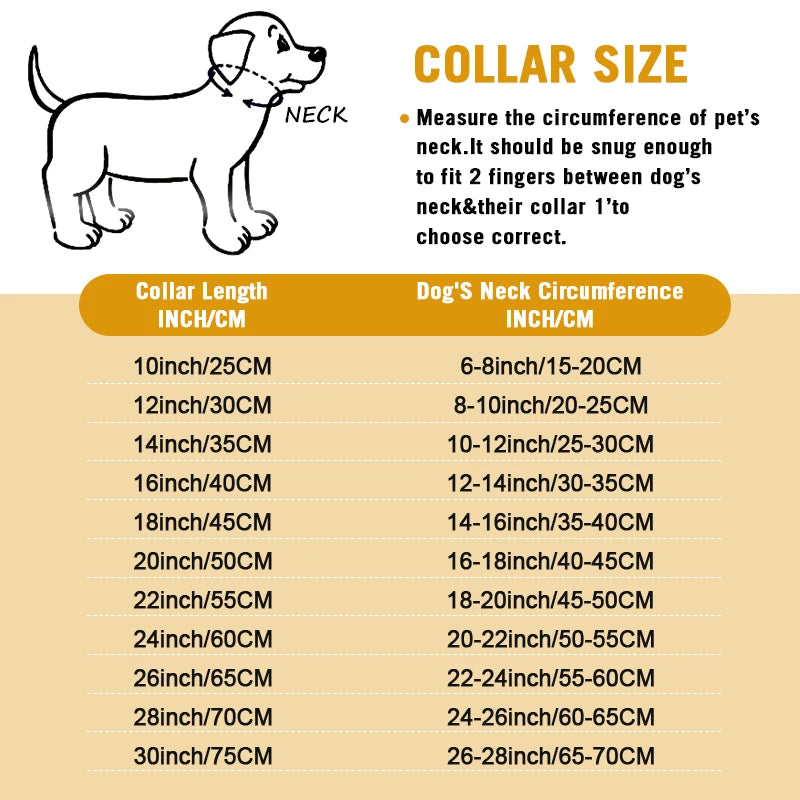 Sniffwagglenwalk™ Large Collar Chain link. - Sniff Waggle And Walk