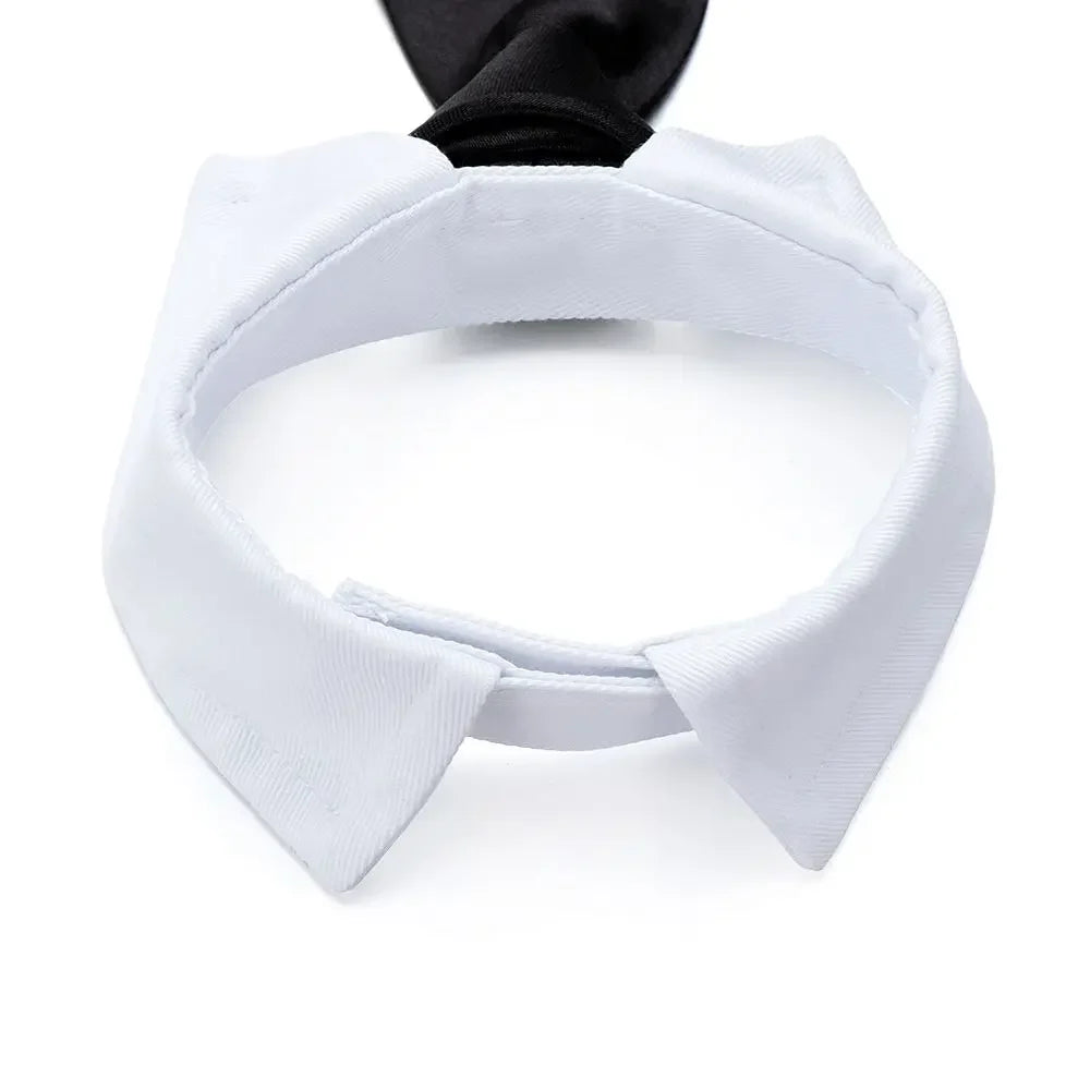 Luxury Pet Collar with Stylish Tie – The Ultimate Dapper Look for Cats & Dogs!