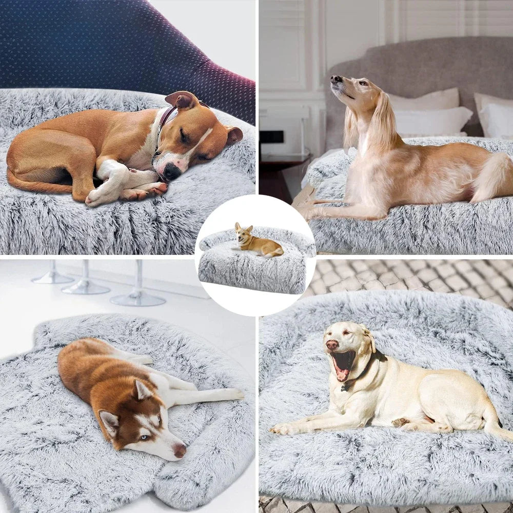 Sniffwagglendwalk® Removable Sofa Bed for Dogs. - Sniff Waggle And Walk