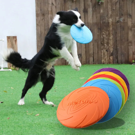 ToughFetch DiscMaster™ - Sniff Waggle And Walk