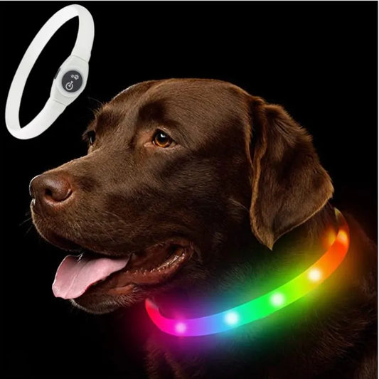 Sniffwagglendwalk® Waterproof Led USB Luminous Dog Collar. - Sniff Waggle And Walk