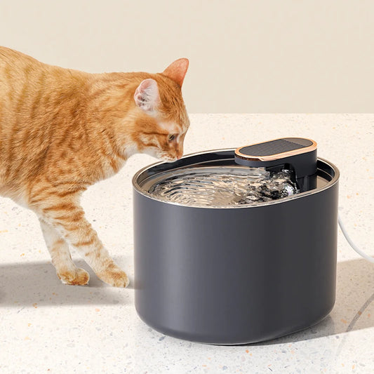 Sniffwagglenwalk™ Automatic Cat Water Fountain. - Sniff Waggle And Walk