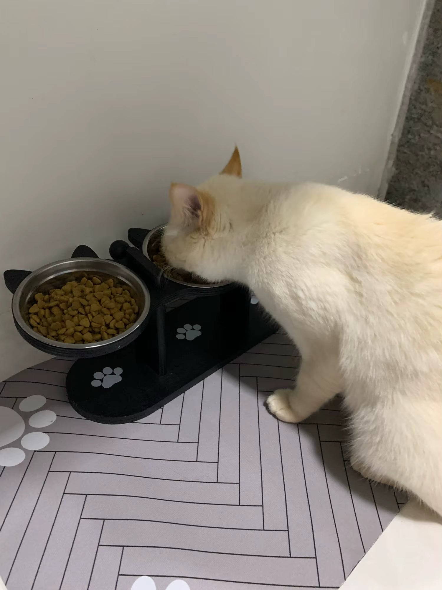 Cat eating from a bowl on a pet feeder with a white wall and floor in the background