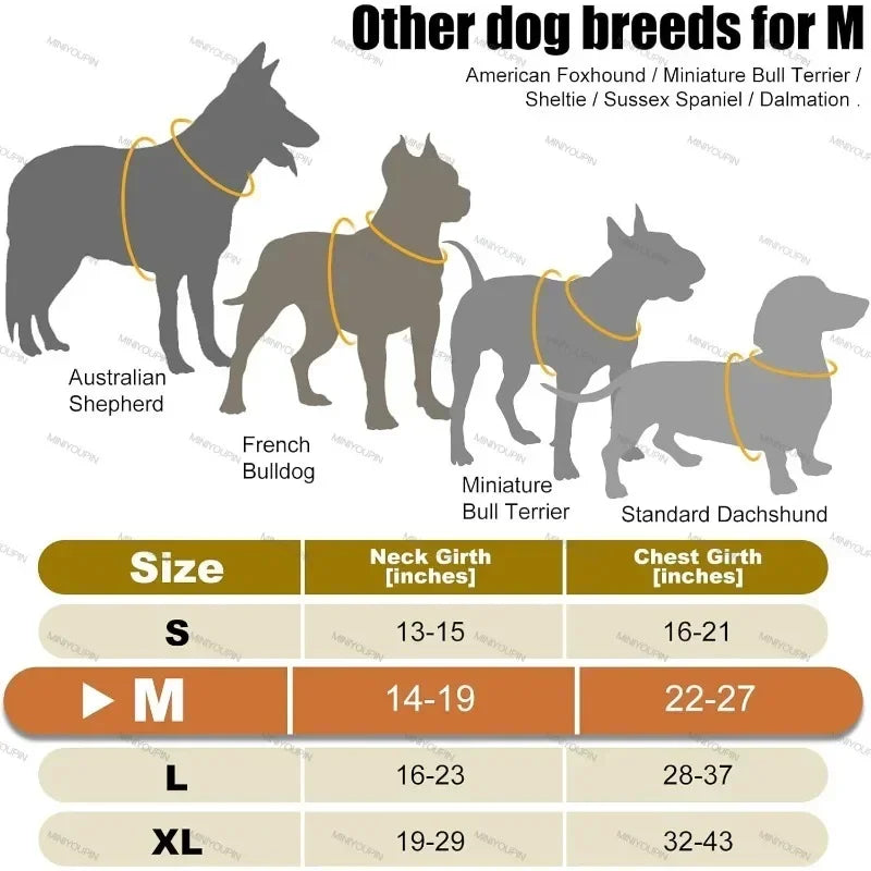 Dog collar size chart for various dog breeds with neck and chest measurements.