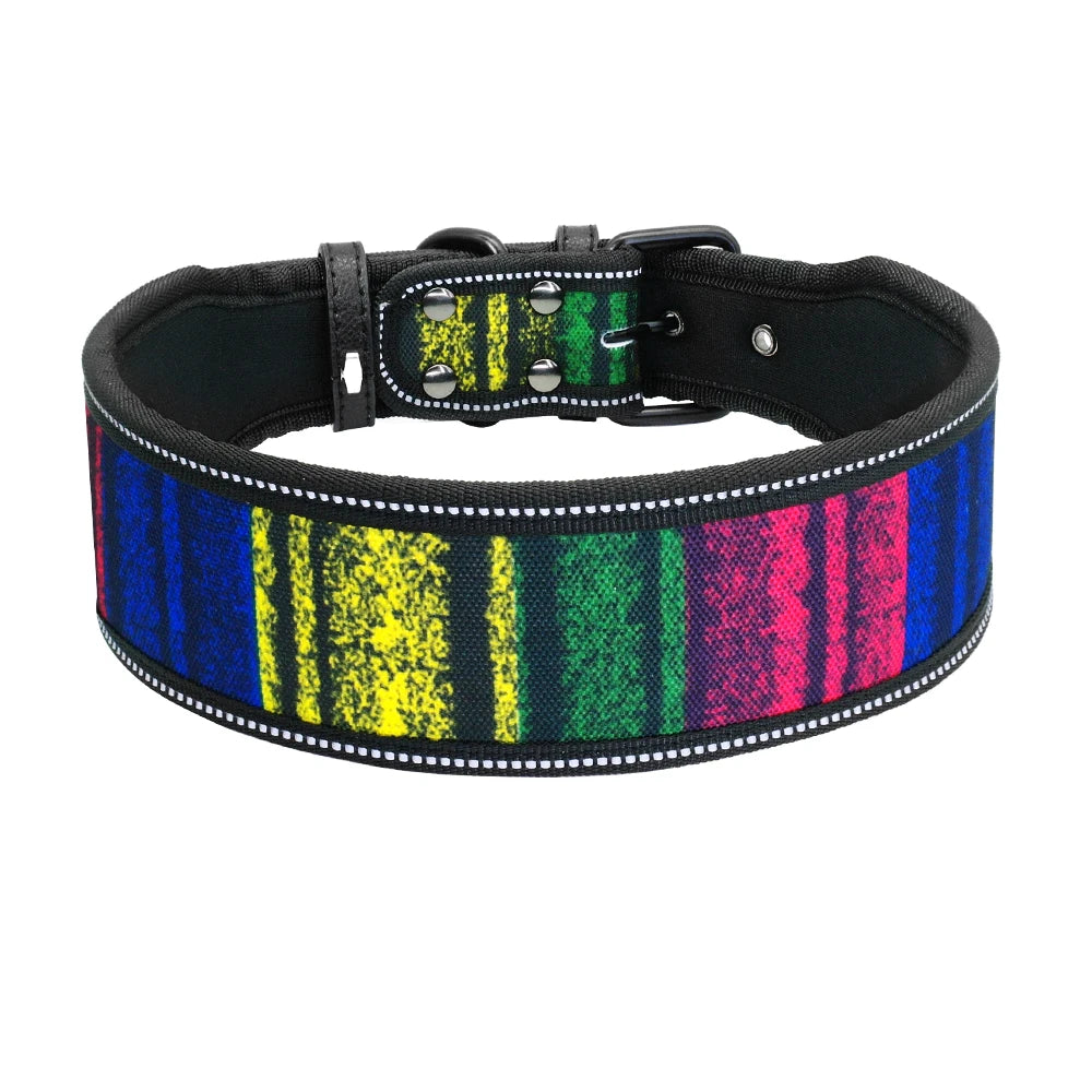 Dog collar with colorful striped pattern on a white background