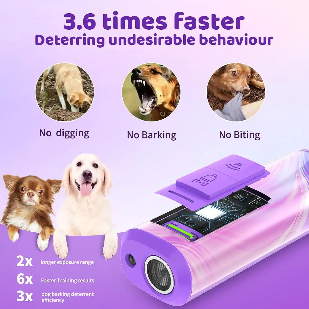 Dog training device with images of dogs and text highlighting features on a purple background