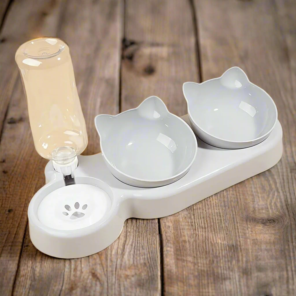 WHITE CAT BOWLS SNIFFWAGGLEANDWALK