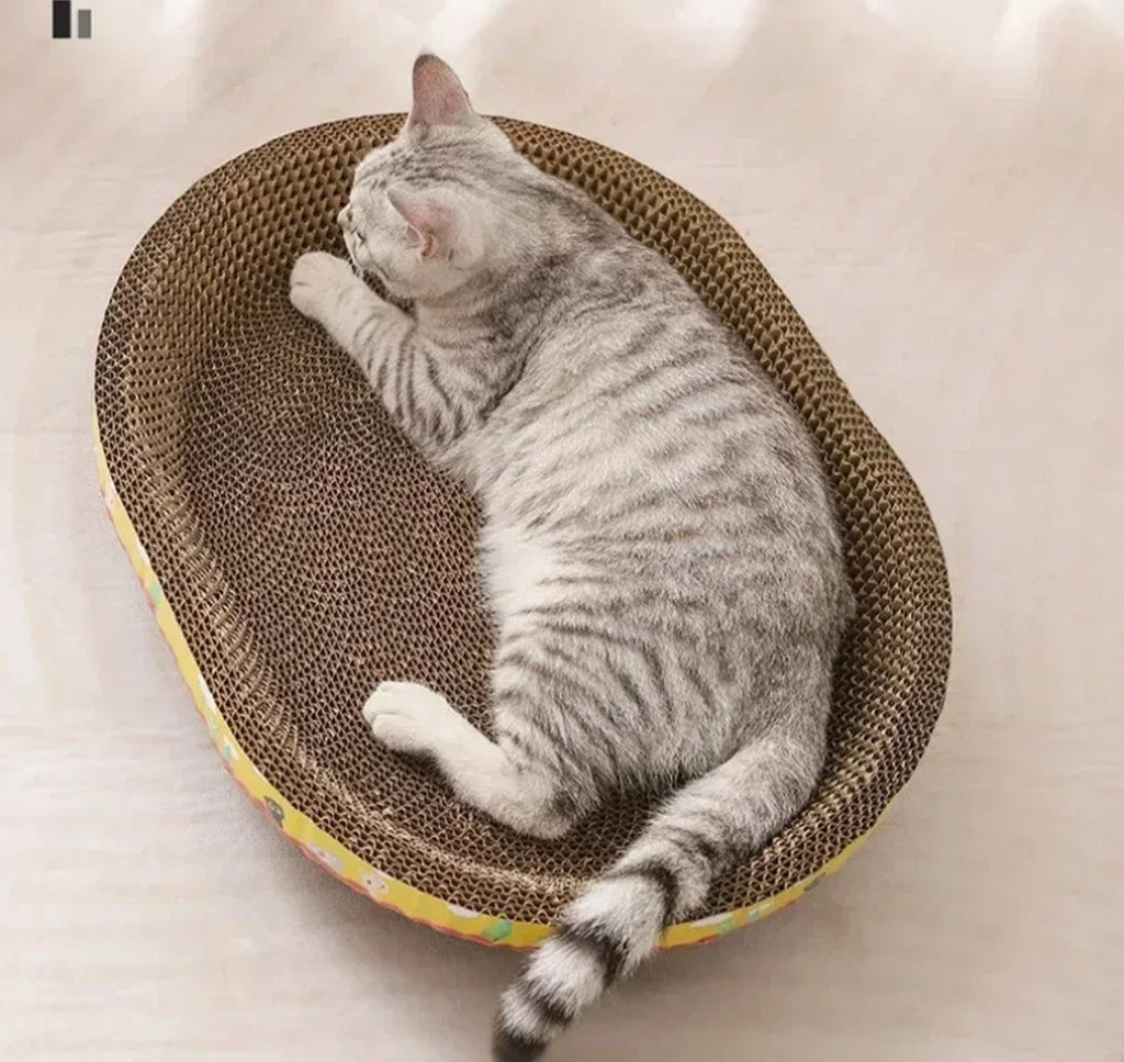 best cat beds quality
