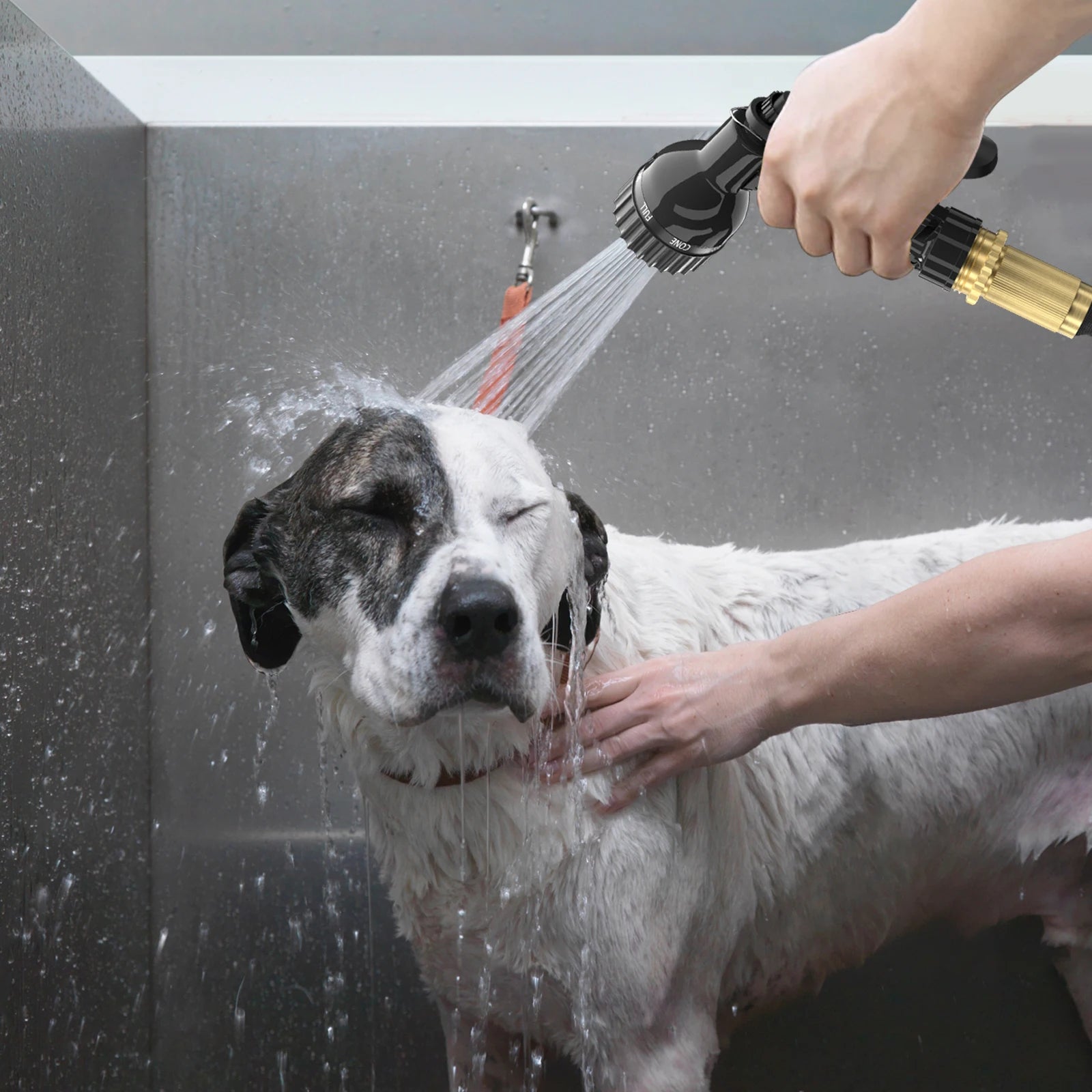 dog getting bathed by the best hose