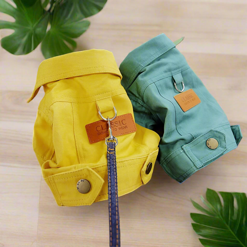 jacket Spring Dog Suit Outfits with Dlink. - Sniff Waggle And Walk