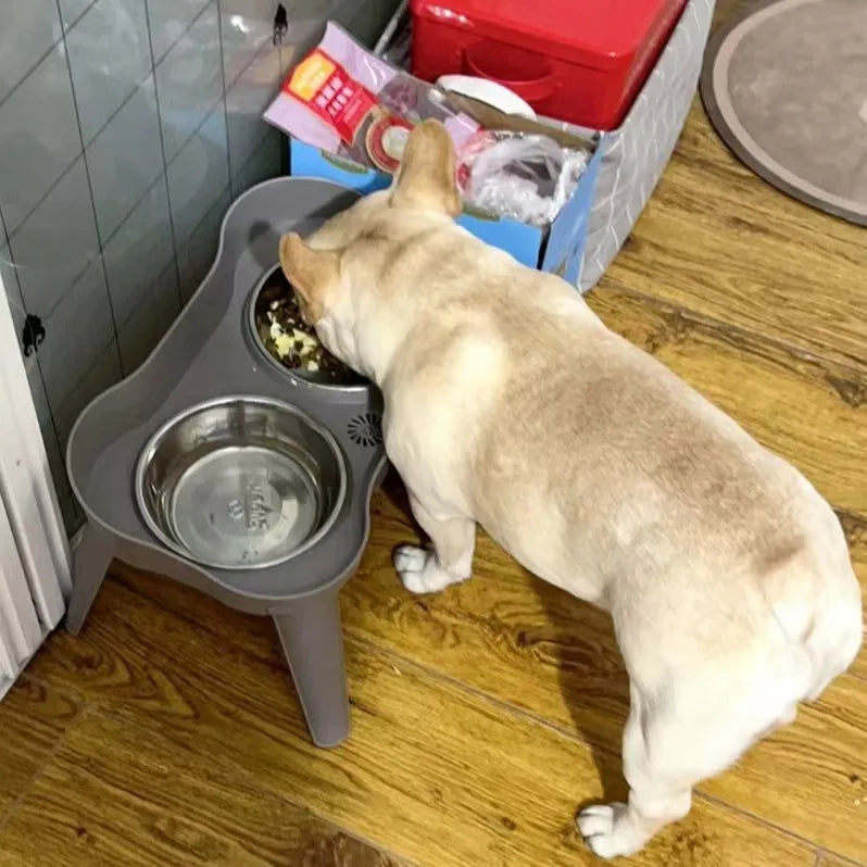 best quality dog elevated cat bowl holder gray