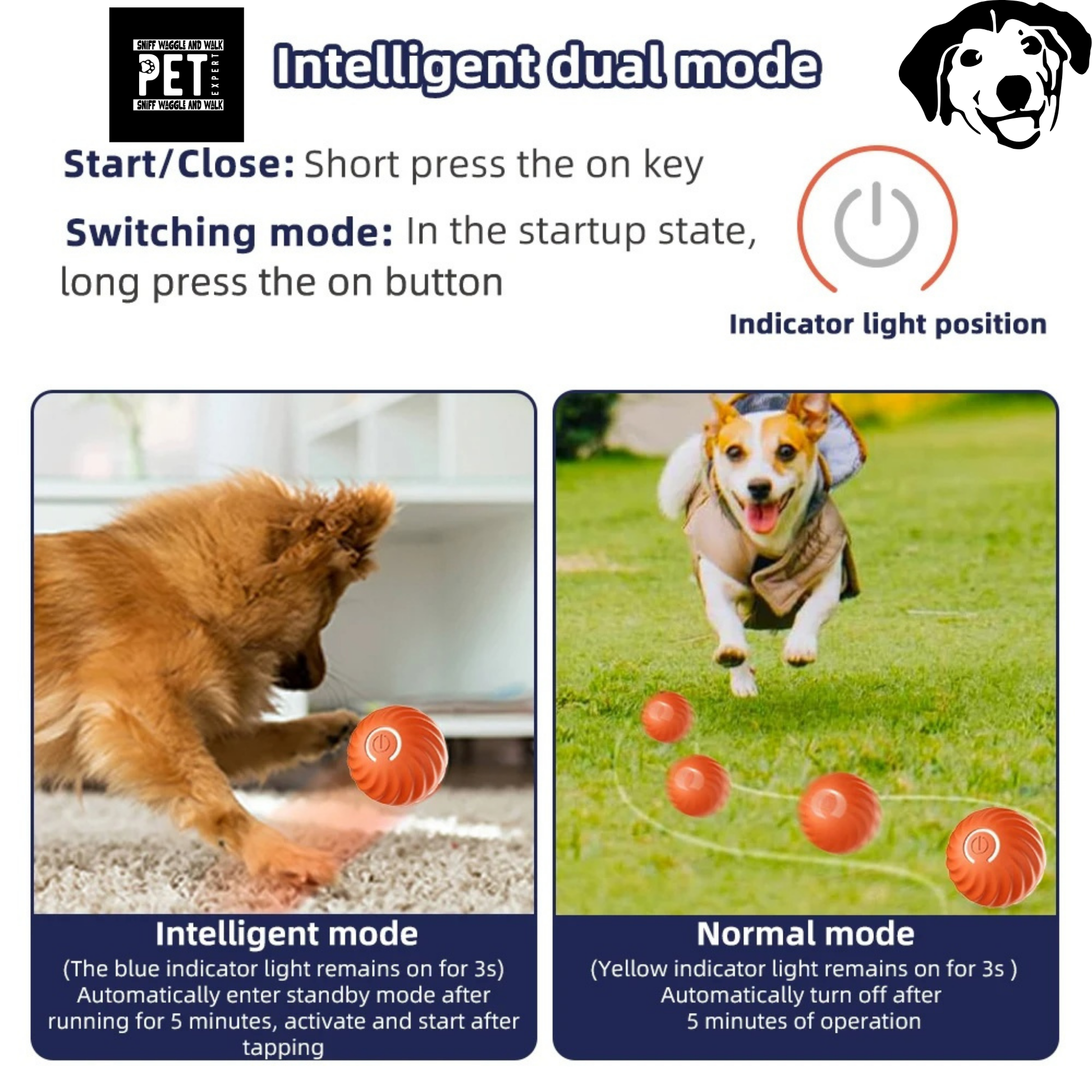 pet dog dog toy play toy best