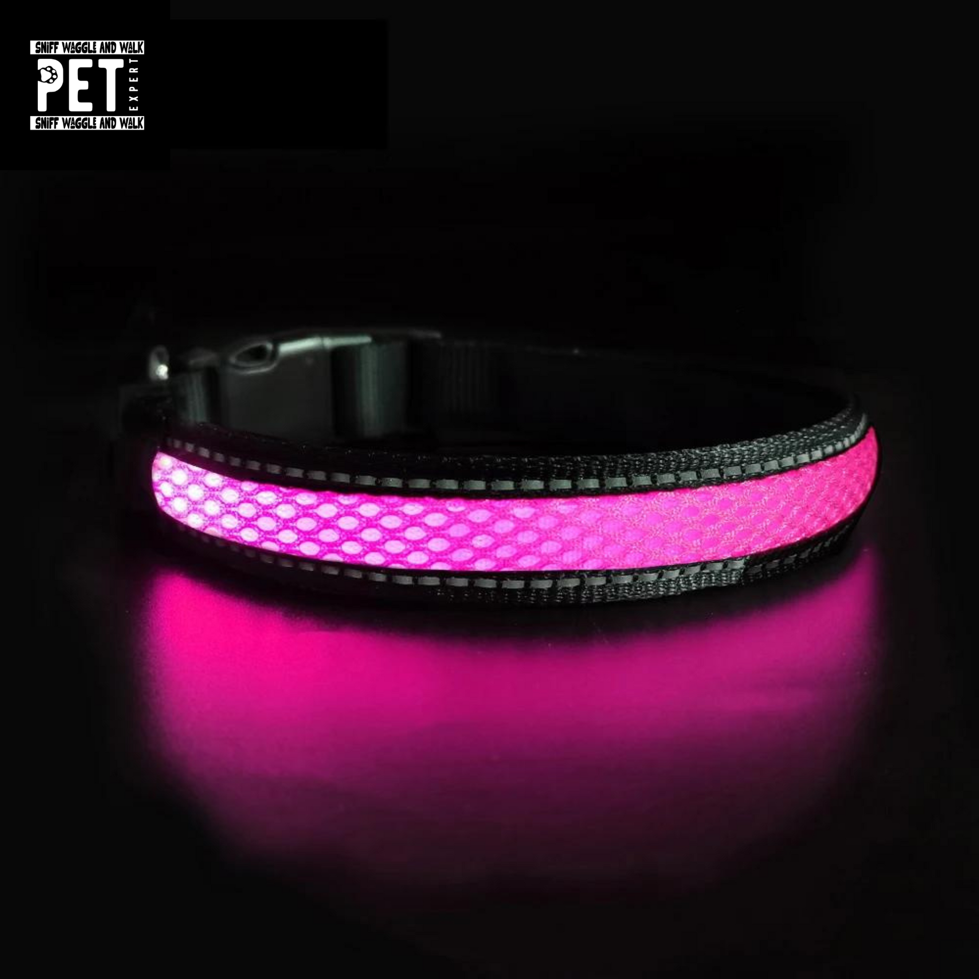 purple led dog collar