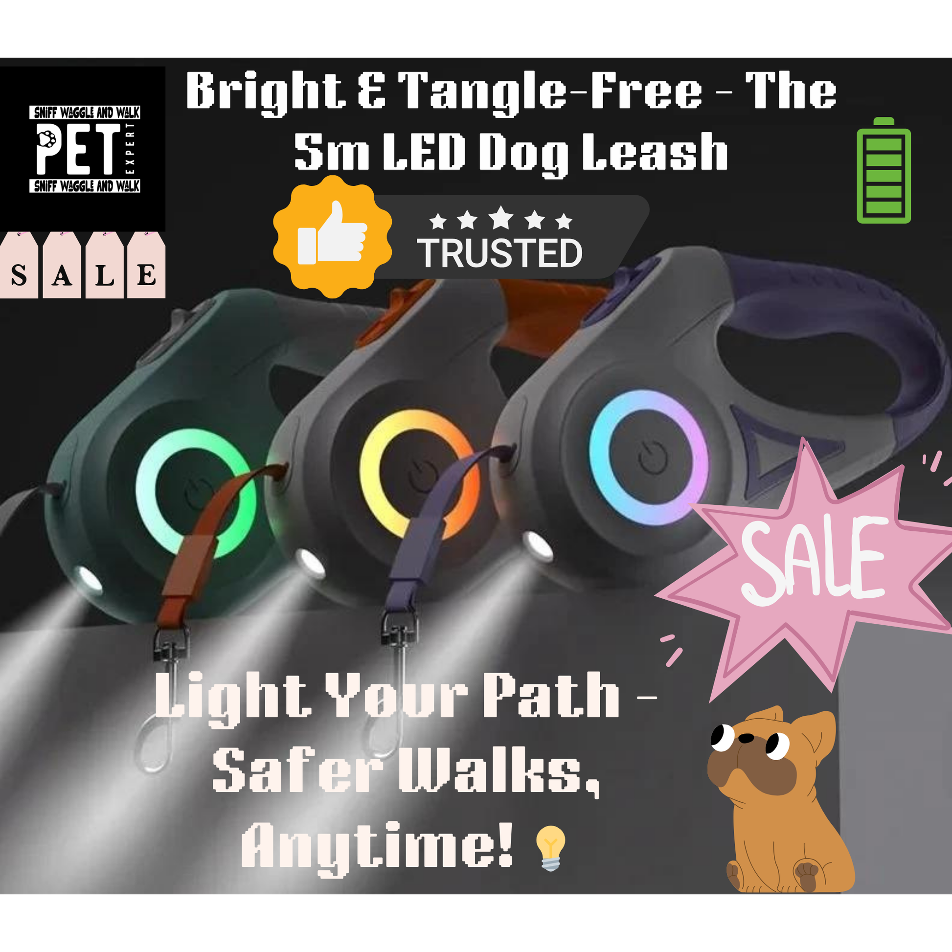 dog leash led luminous rechargeable