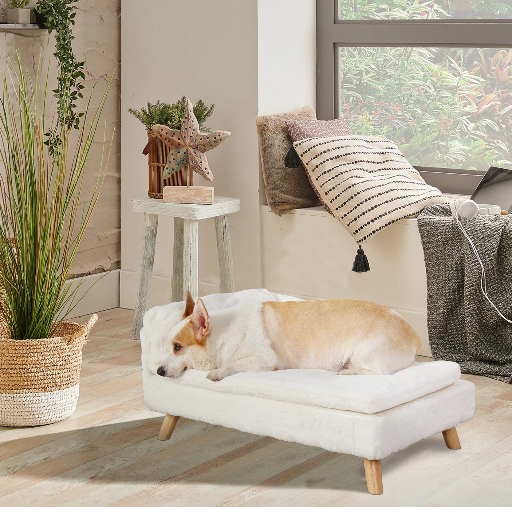 luxury pet beds