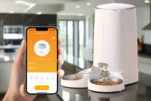 best WiFi Auto Feeder For Cats and Dogs. - Sniff Waggle And Walk